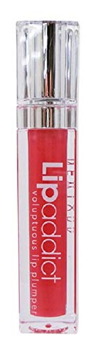 Lipaddict(リップアディクト) 213 ジュエル 2本 fit=scale-down,w=1200